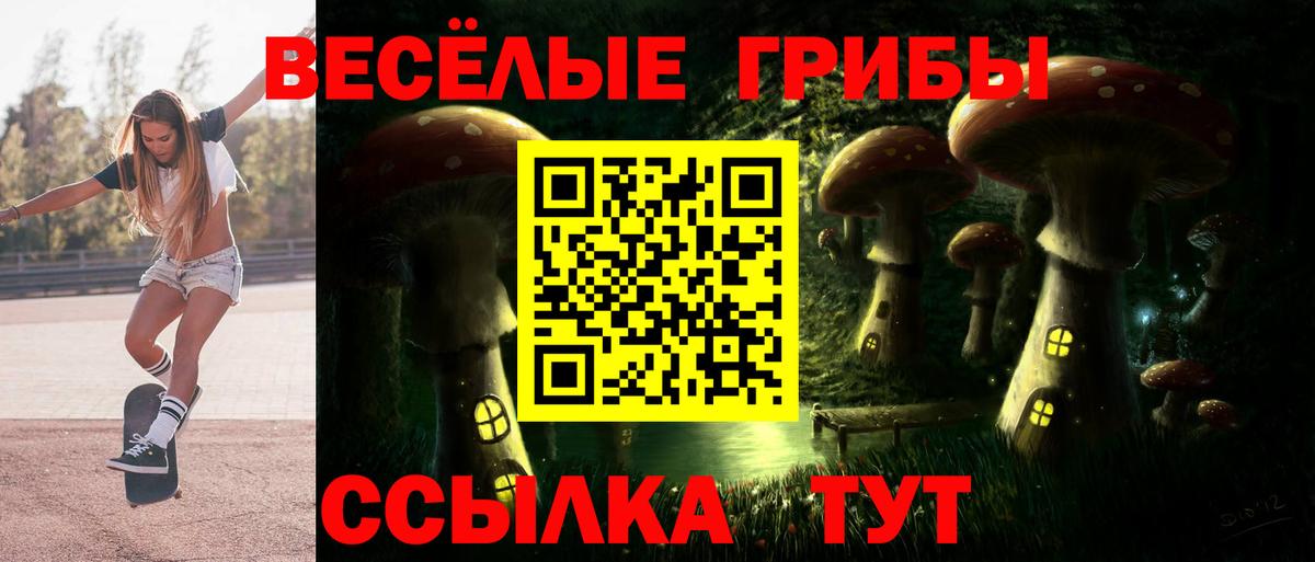 Псилоцибиновые грибы MAGIC MUSHROOMS  Вход с VPN  как найти закладки  Горно-Алтайск 