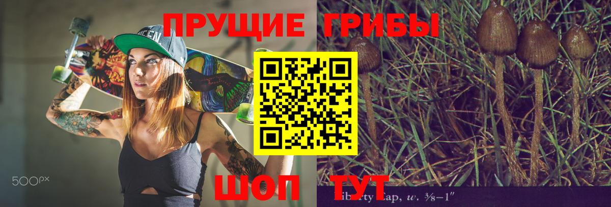Псилоцибиновые грибы мухоморы Горно-Алтайск